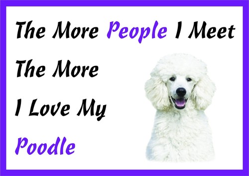 The more love white - i,